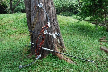 used compound bow