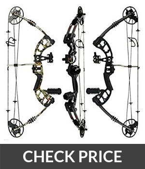 raptor compound bow review