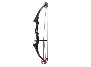 Genesis Mini Bow.best compound bow for youth