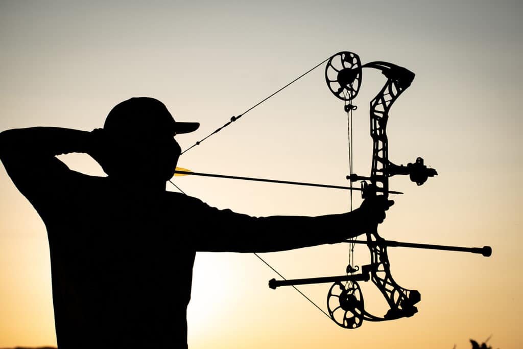 Top 10 Best Gold Tip Arrows - BowGrid.com